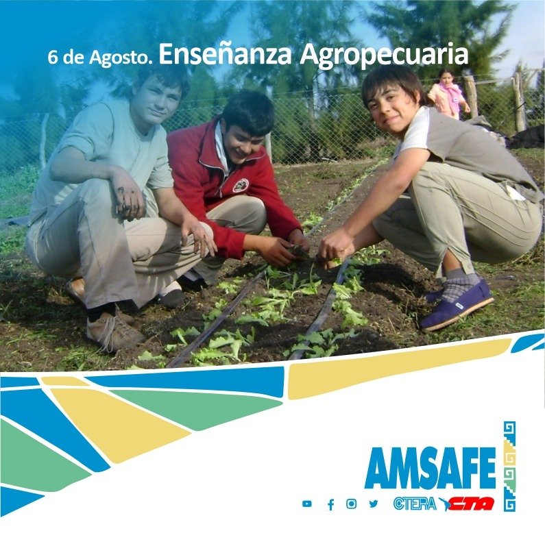 WhatsApp Image 2021-08-04 at 12.20.17