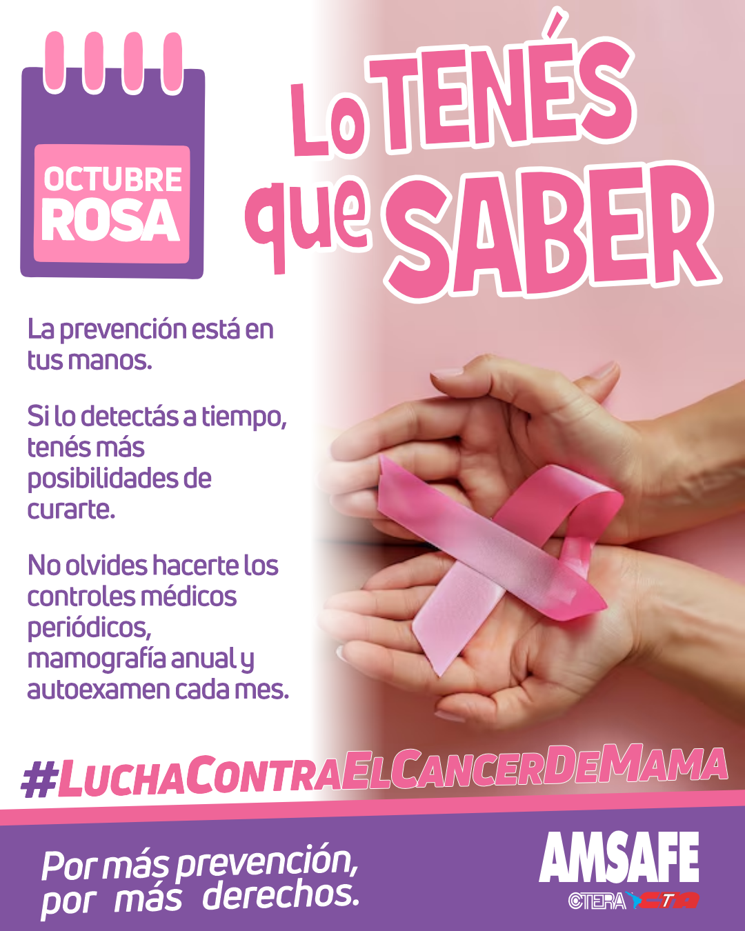 octubre_rosa